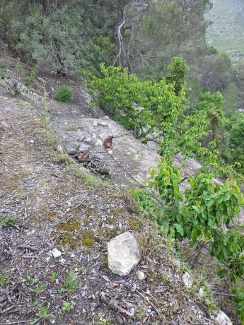 Terreno en Parcela 266, 266, Vall de Gallinera thumbnail 2
