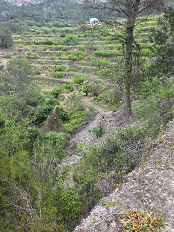 Terreno en venta en Vall de Gallinera, Alicante photo 4