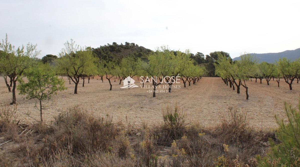 Terreno en venta en Sax, Alicante photo 4