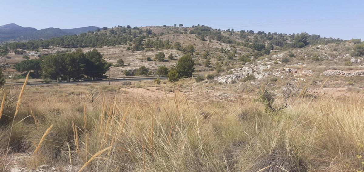 Terreno en venta en Monovar, Alicante photo 1