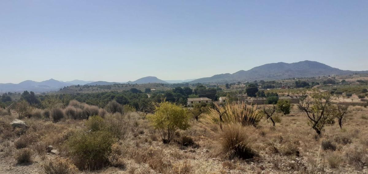 Terreno en venta en Monovar, Alicante photo 5
