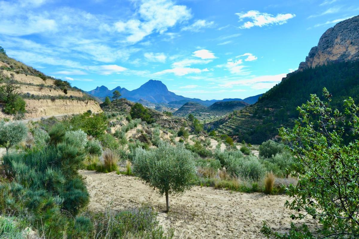 Terreno en venta en Relleu, Alicante photo 1