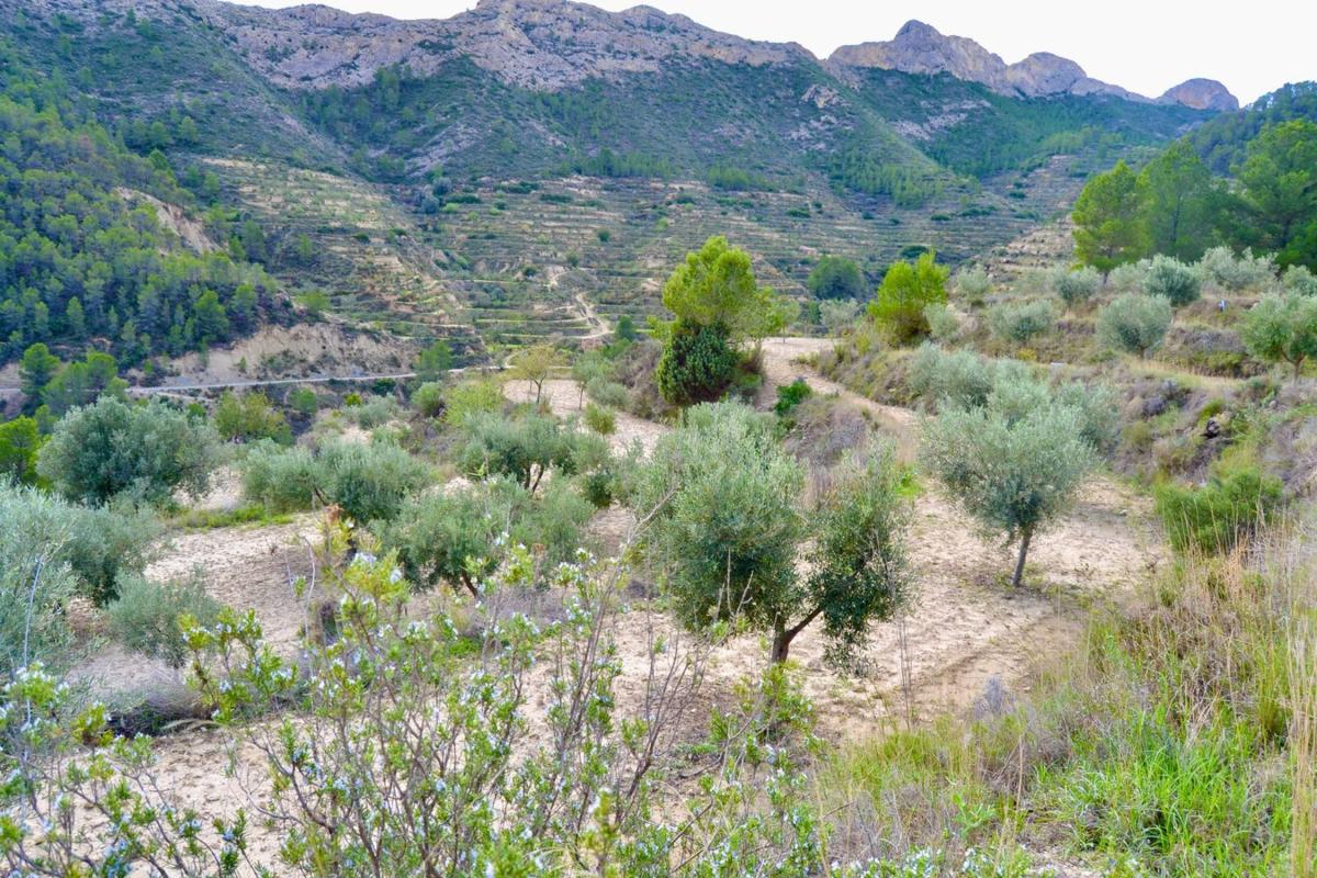Terreno en venta en Relleu, Alicante photo 2