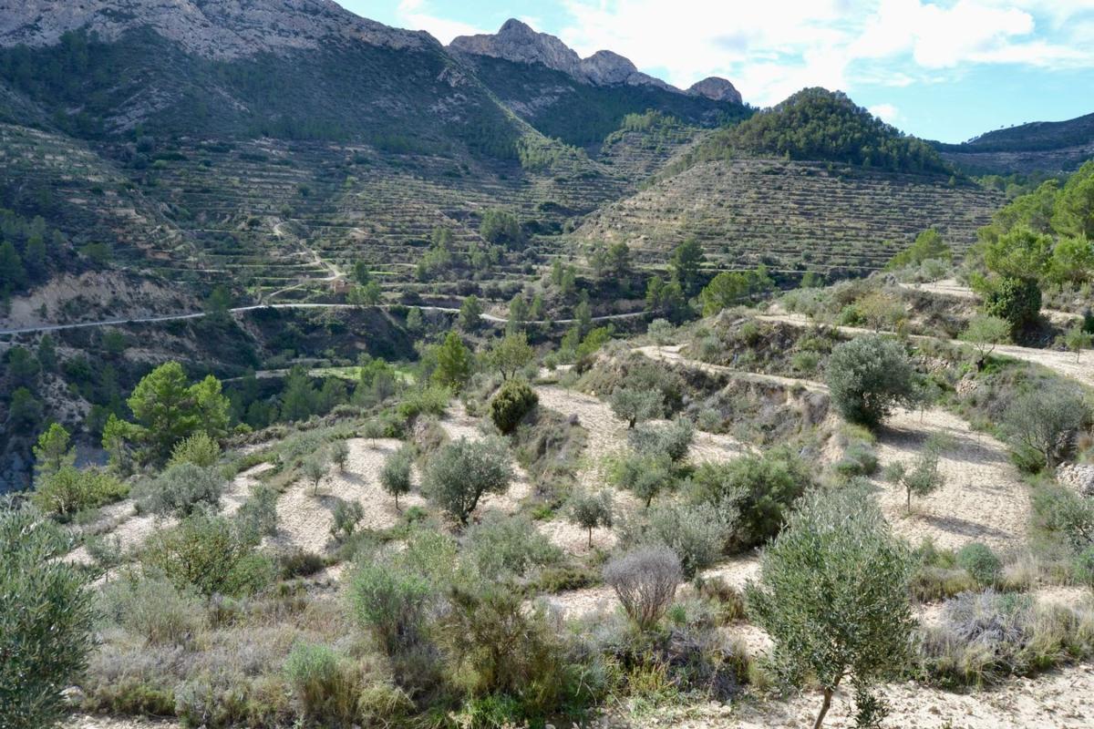 Terreno en venta en Relleu, Alicante photo 3