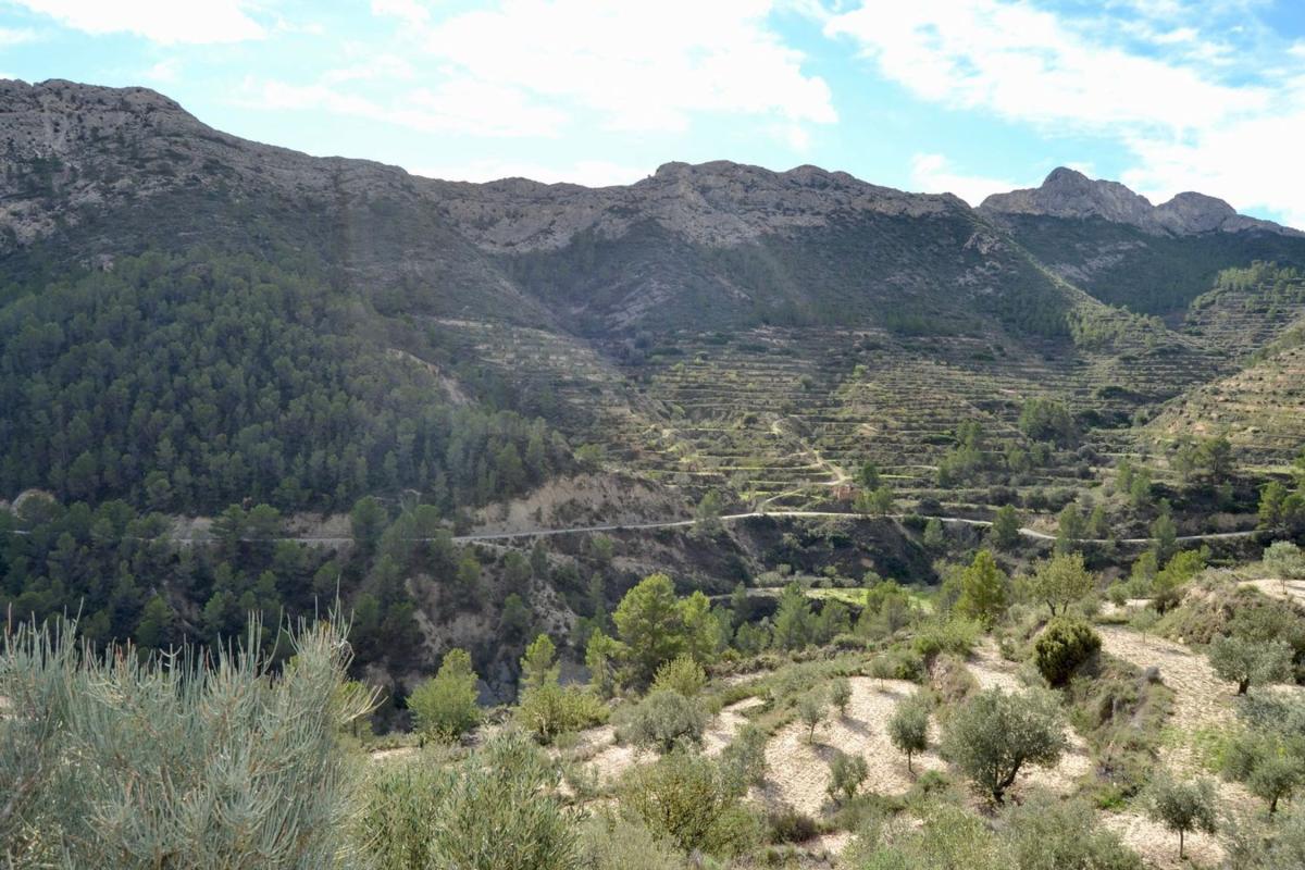Terreno en venta en Relleu, Alicante photo 5