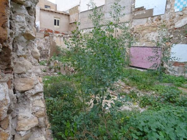 Terreno en Casco Antiguo, Aspe photo 1