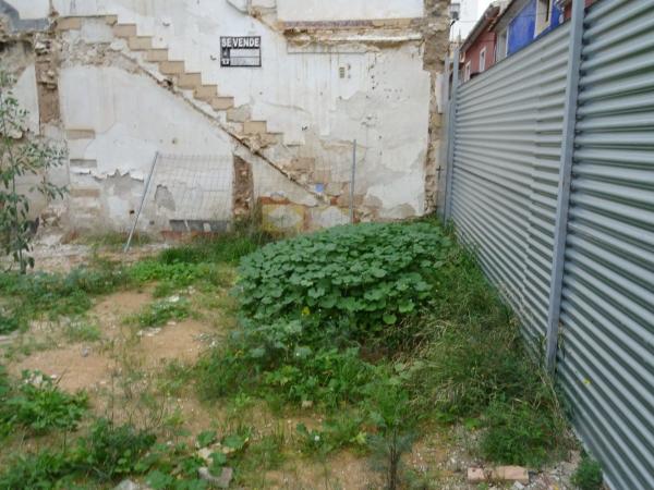 Terreno en Casco Antiguo, Aspe thumbnail 2