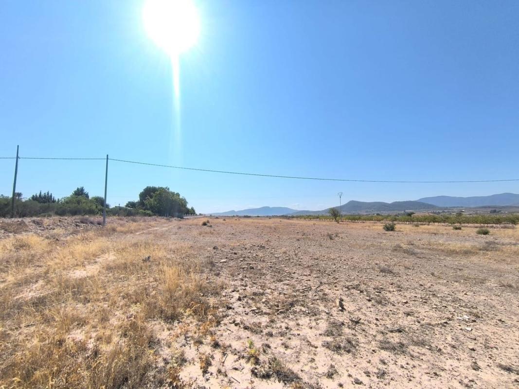 Terreno en venta en Pinoso, Alicante photo 1