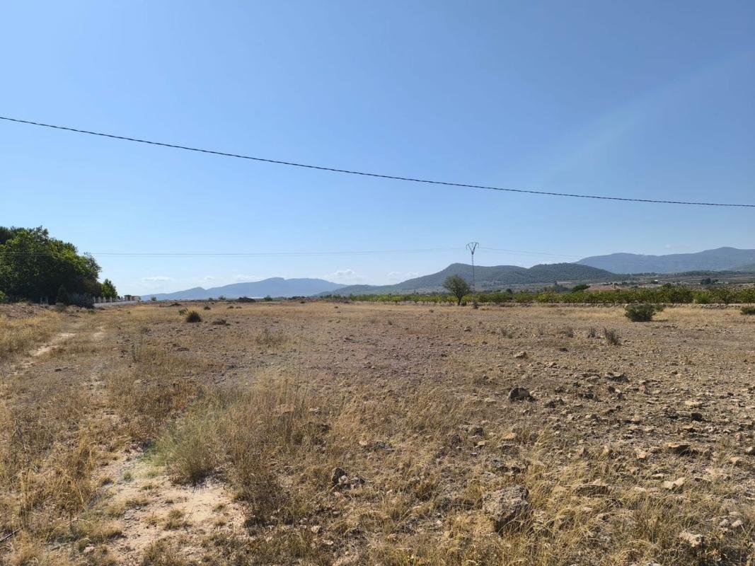 Terreno en venta en Pinoso, Alicante photo 2