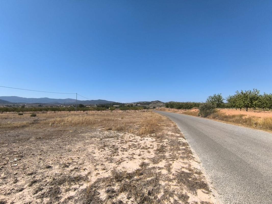 Terreno en venta en Pinoso, Alicante photo 3