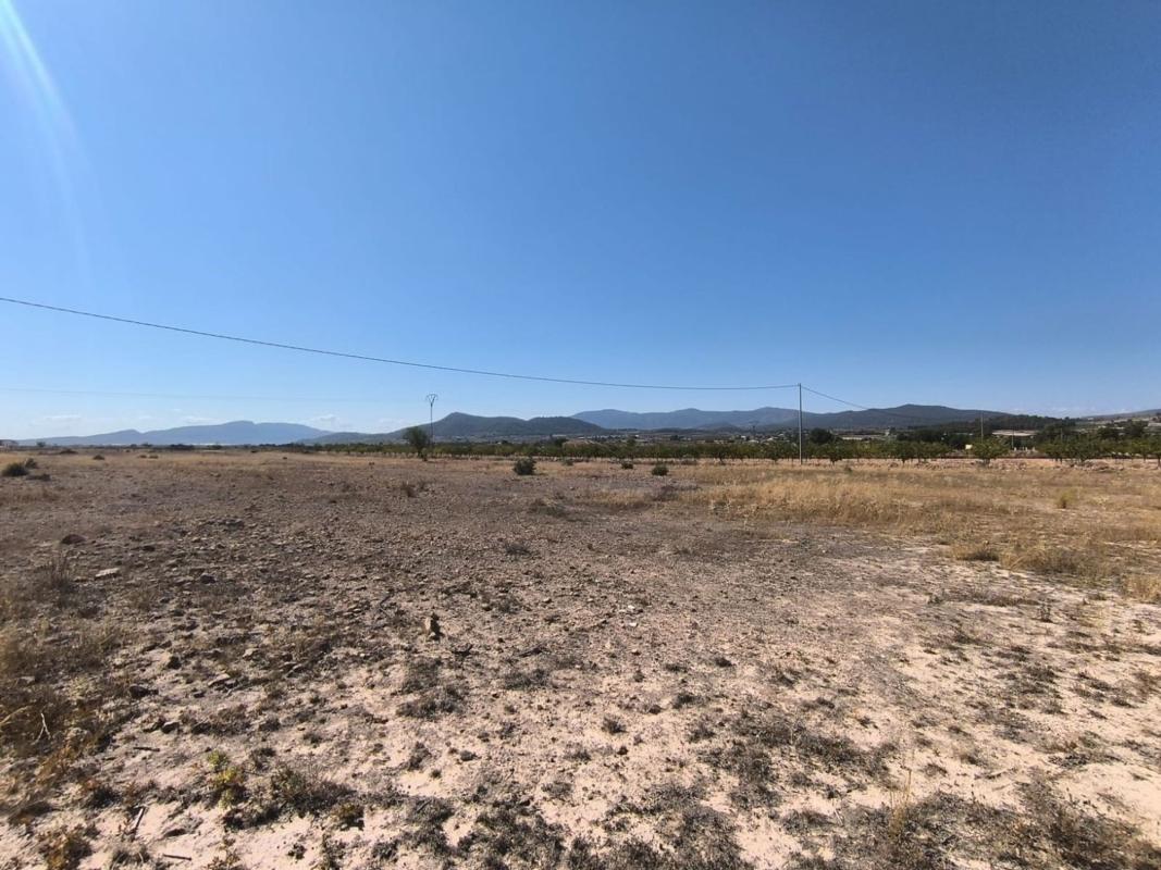 Terreno en venta en Pinoso, Alicante photo 5