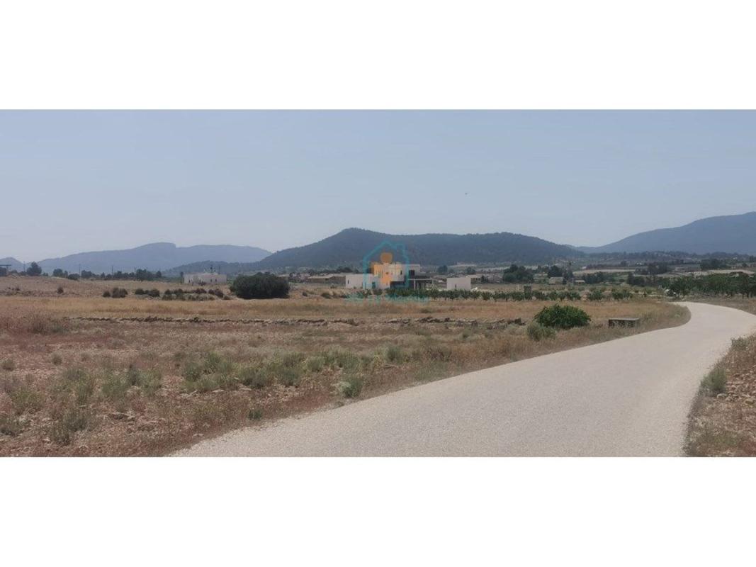 Land for sale in Pinoso, Alicante photo 1
