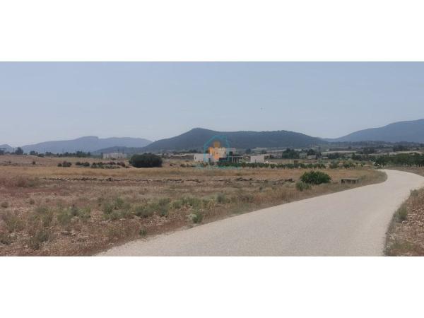 Terreno en Pinoso photo 1