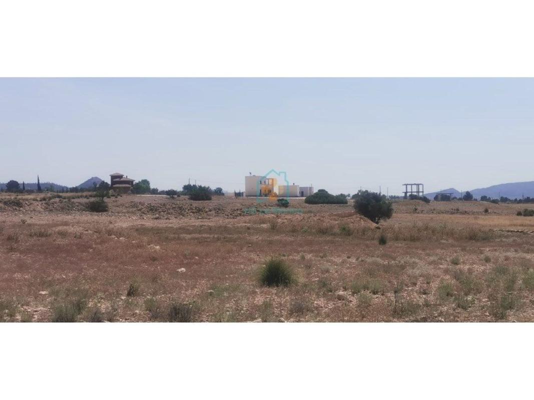 Land for sale in Pinoso, Alicante photo 3