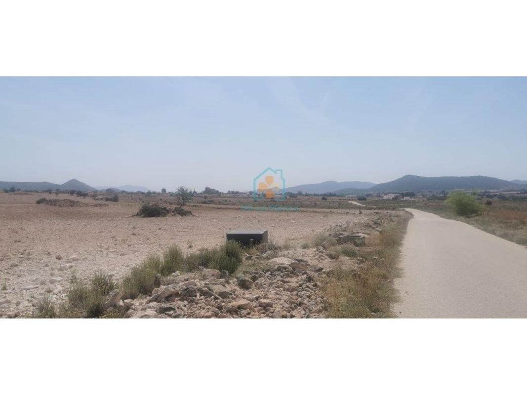 Land for sale in Pinoso, Alicante photo 4