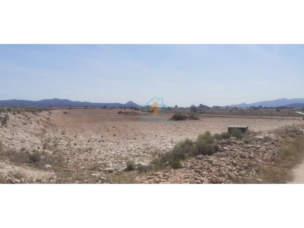 Land for sale in Pinoso, Alicante photo 5