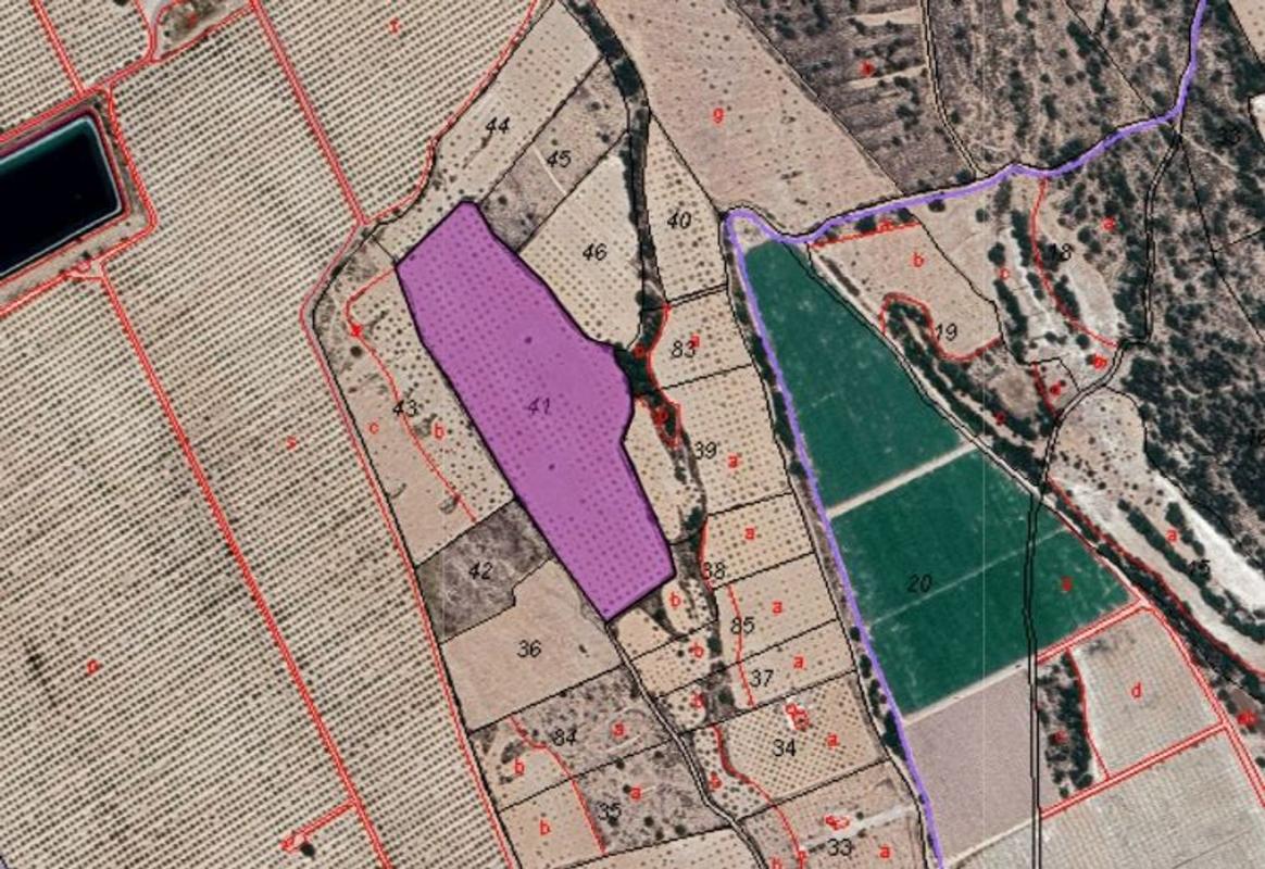 Terreno en venta en Pinoso, Alicante photo 5