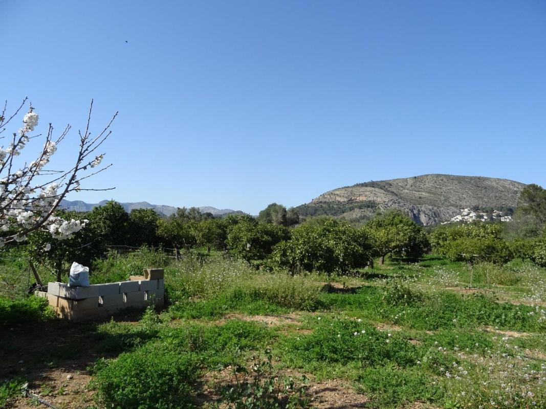 Działka na sprzedaż w Alcalalí, Alicante photo 5