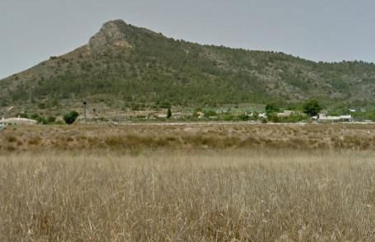 Terreno en venta en Aspe, Alicante photo 1