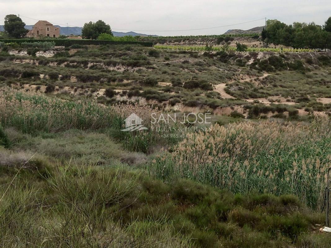 Działka na sprzedaż w Nowaleda, Alicante photo 4