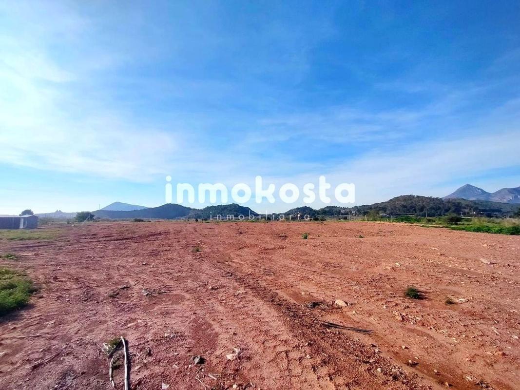 Terreno en venta en Altea, Alicante photo 5