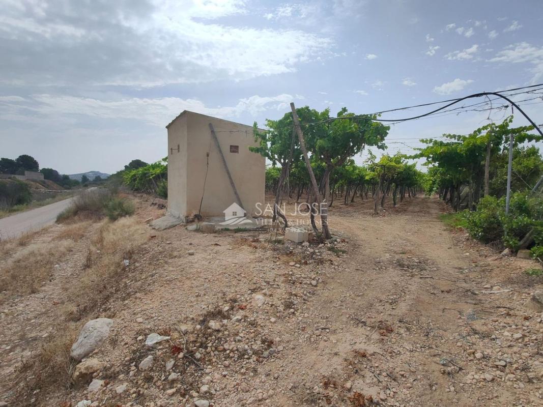 Terreno en venta en Aspe, Alicante photo 1