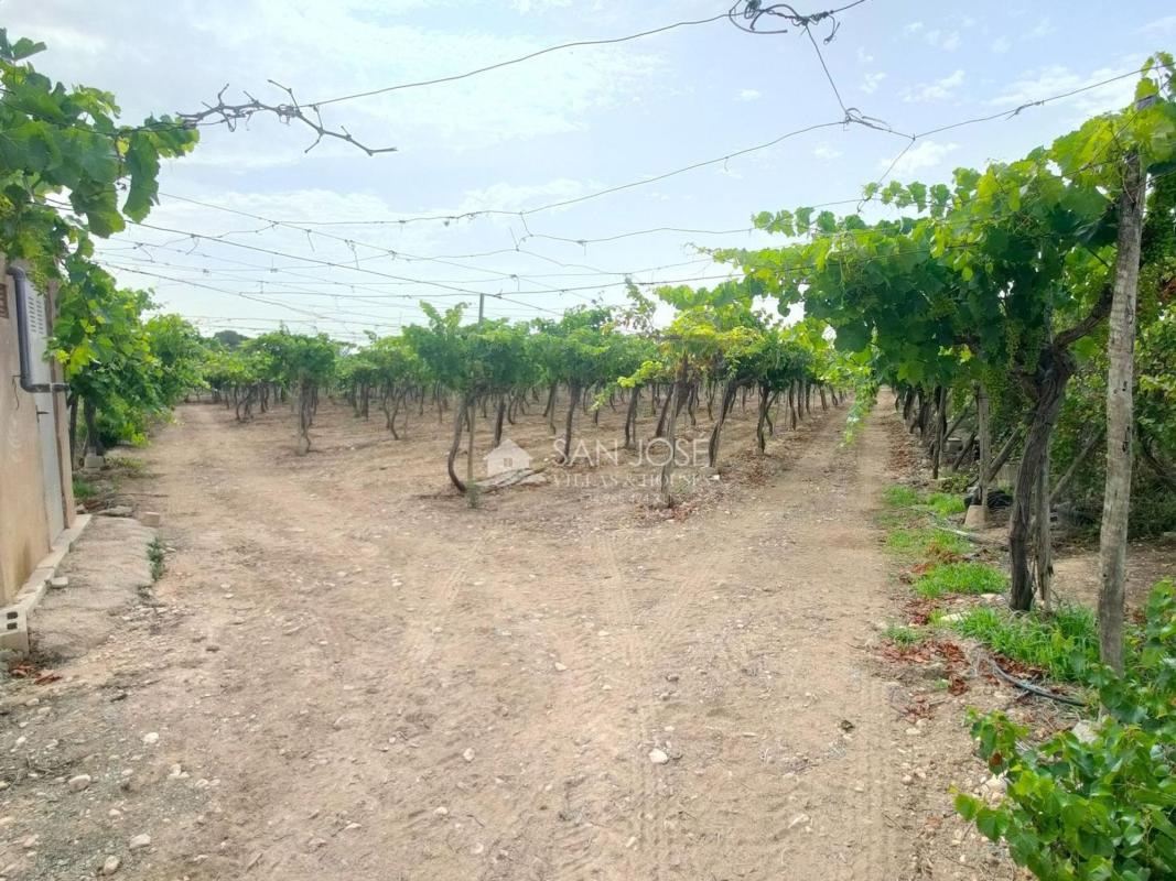 Terreno en venta en Aspe, Alicante photo 2