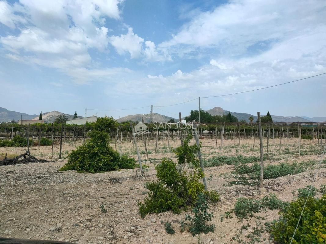 Terreno en venta en Aspe, Alicante photo 3