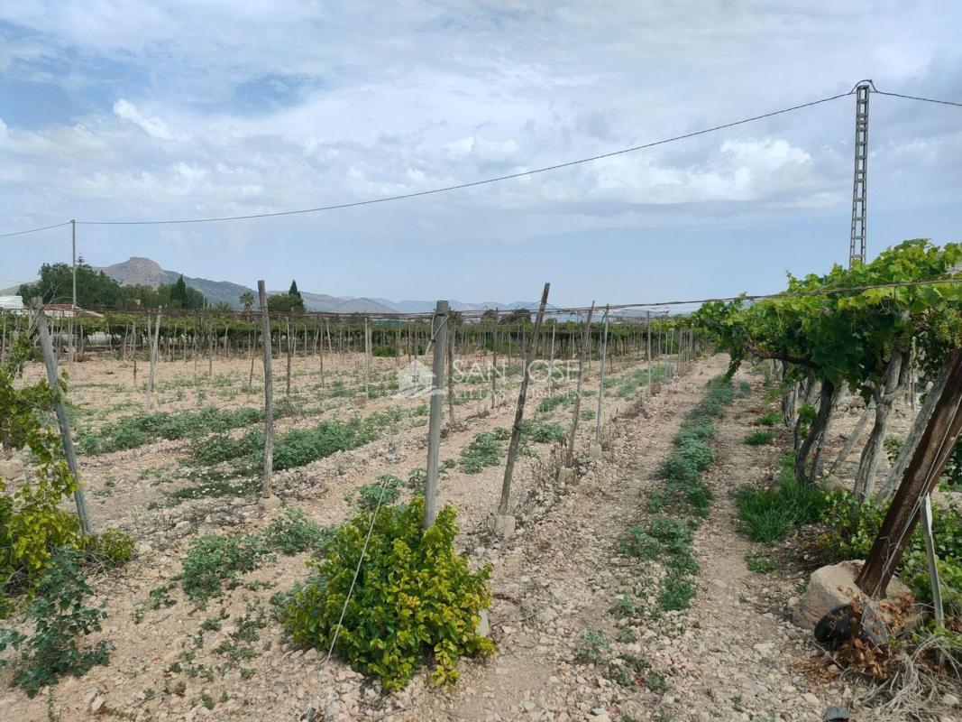 Terreno en venta en Aspe, Alicante photo 4