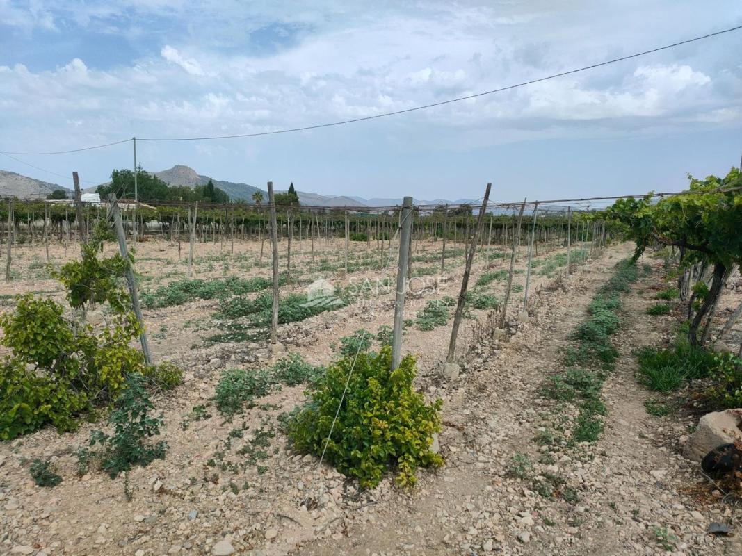 Terreno en venta en Aspe, Alicante photo 5