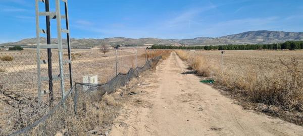 Terreno en Partidas Norte, Villena photo 2
