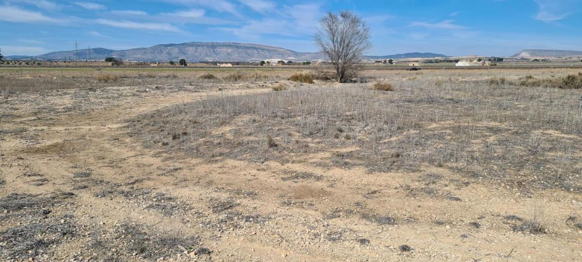 Terreno en venta en Villena, Alicante photo 4