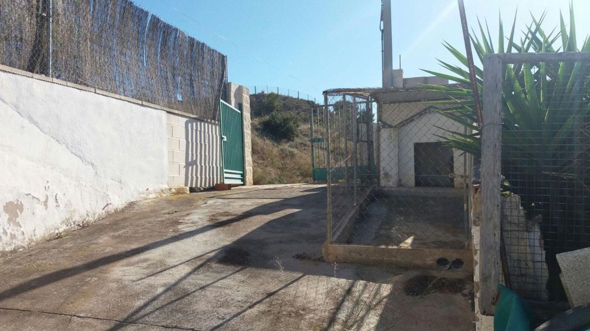 Land for sale in Elche / Elx, Alicante photo 3