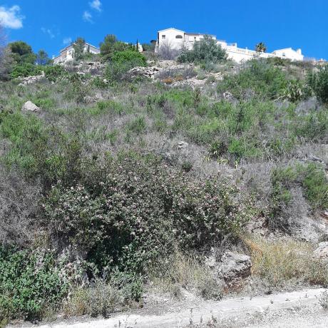 Terreno en Pego photo 4