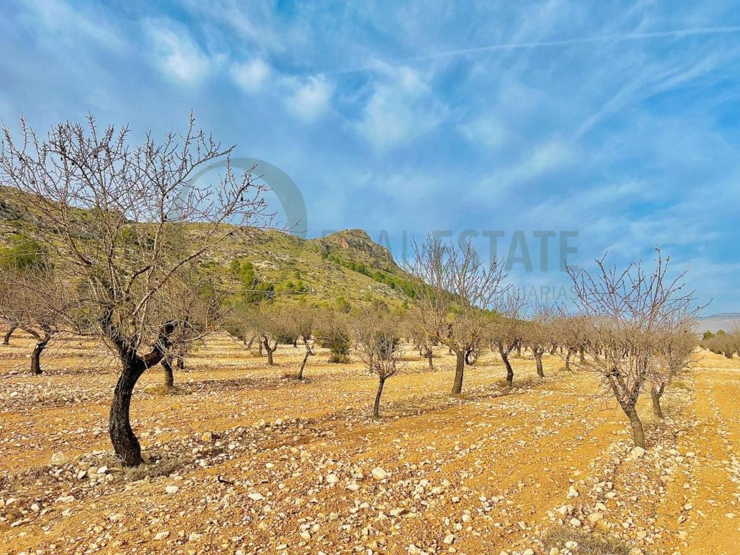 Terreno en venta en Villena, Alicante photo 1