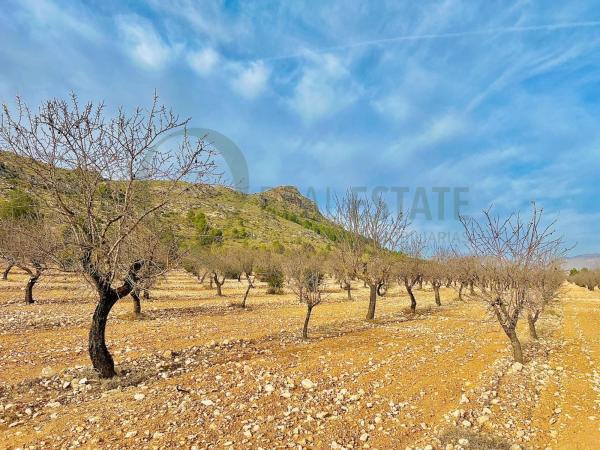 Terreno en Las Virtudes, Villena photo 1