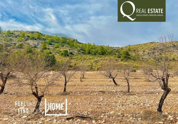 Terreno en Las Virtudes, Villena photo 2