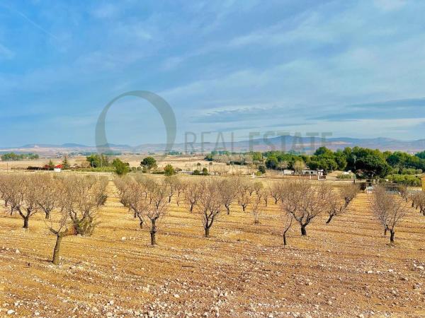 Terreno en Las Virtudes, Villena photo 3