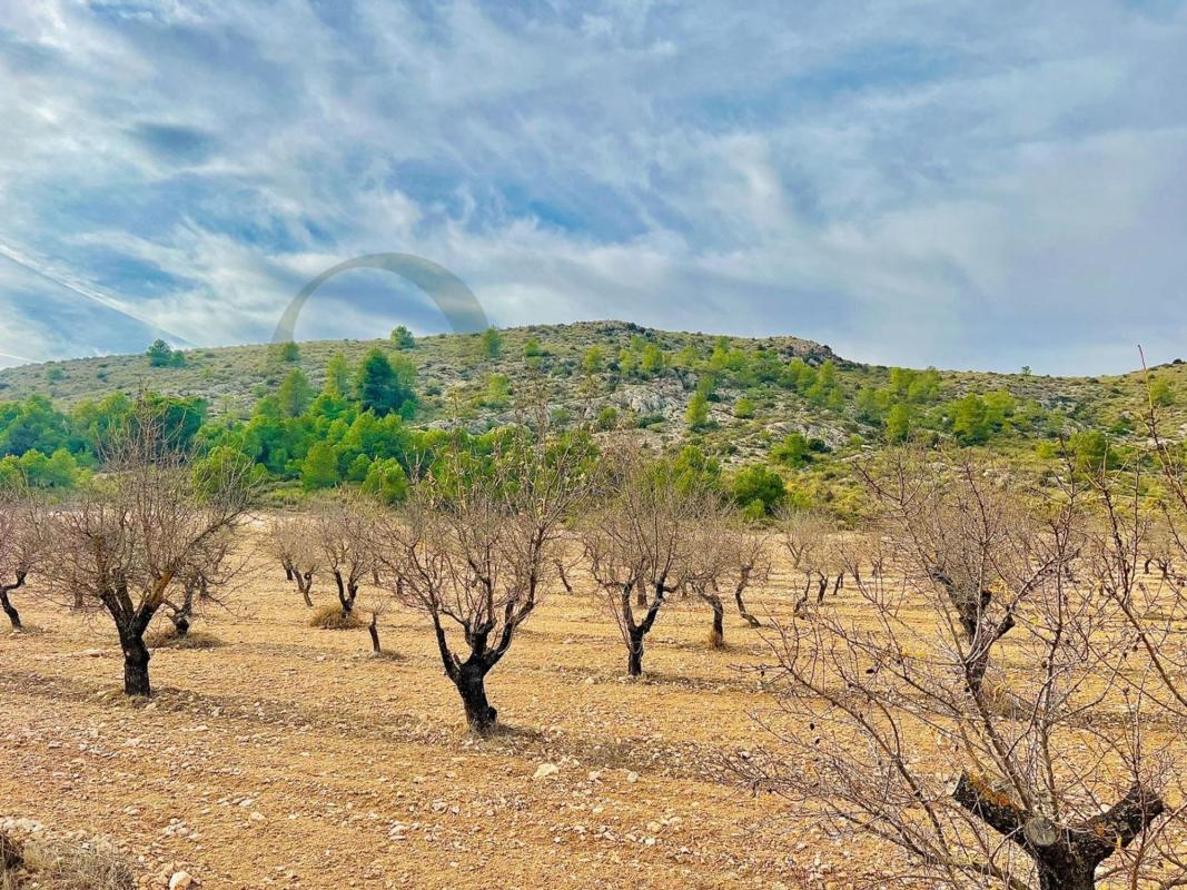 Terreno en venta en Villena, Alicante photo 4