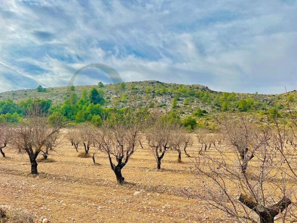 Terreno en Las Virtudes, Villena photo 4