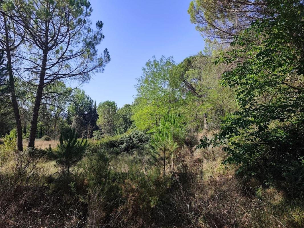 Działka na sprzedaż w Alcoy, Alicante photo 1