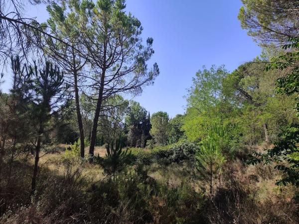 Terreno en Sc Sunp-4 el Sargento, 95, Barri Batoi - Sargento - Baradello, Alcoy / Alcoi thumbnail 3