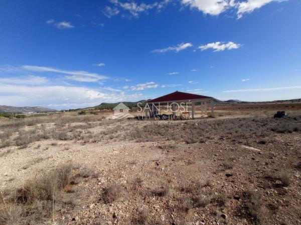 Terreno en Monovar photo 3