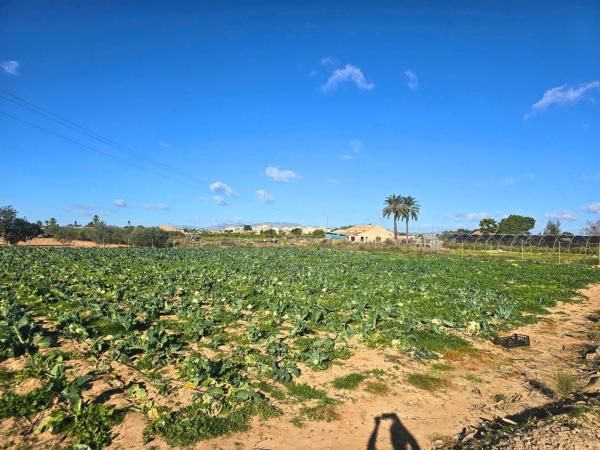 Terreno en Partida Baya Baja, Las Bayas-Asprillas, Elche / Elx photo 1