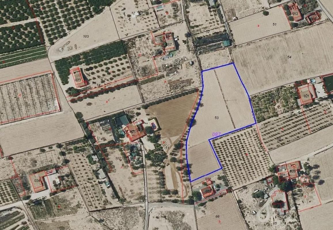 Land for sale in Elche / Elx, Alicante photo 3