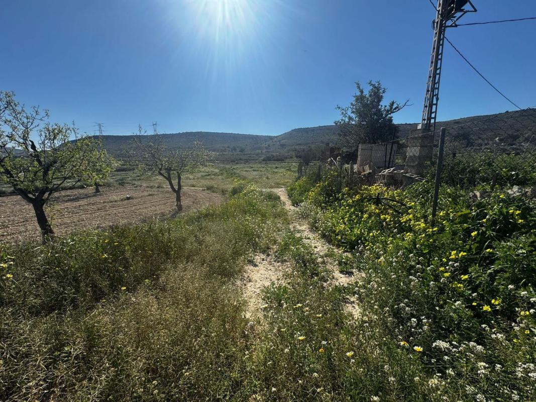 Terreno en venta en Elche / Elx, Alicante photo 2