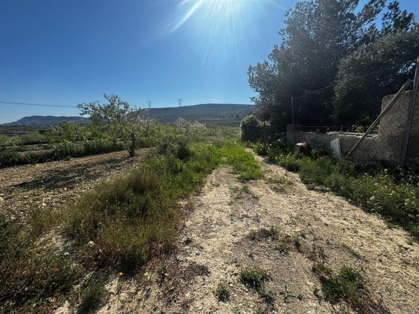 Terreno en Camino del Diputat s/n, Jubalcoi-Saladas, Elche / Elx thumbnail 3