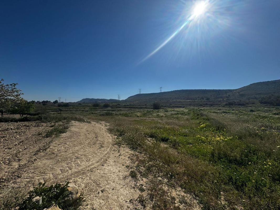 Terreno en venta en Elche / Elx, Alicante photo 4