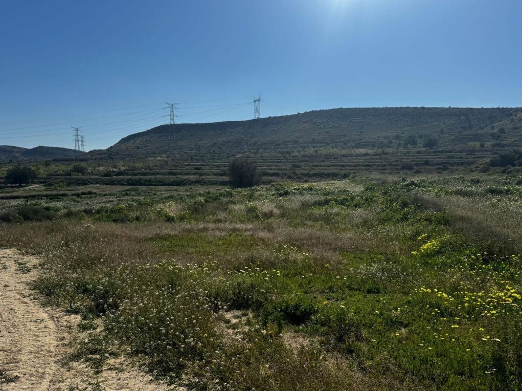 Terreno en venta en Elche / Elx, Alicante photo 5