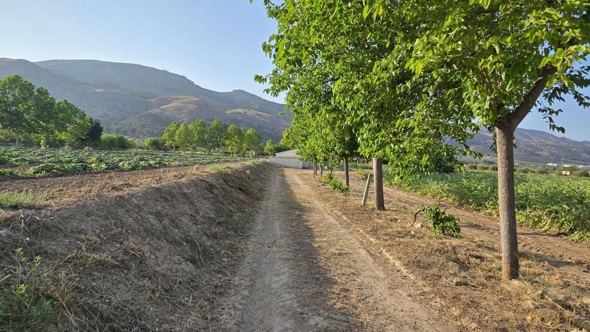 Land for sale in Onil, Alicante photo 3